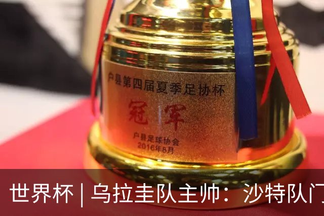 世界杯 | 乌拉圭队主帅：沙特队门将太出色