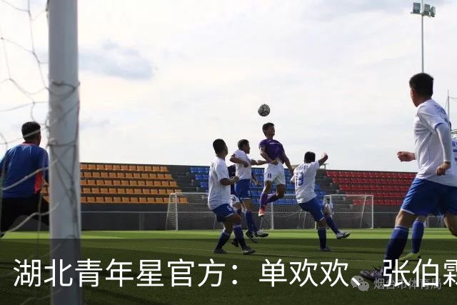 湖北青年星官方：单欢欢、张伯霖等9人加盟，陈佳奇等7人离队