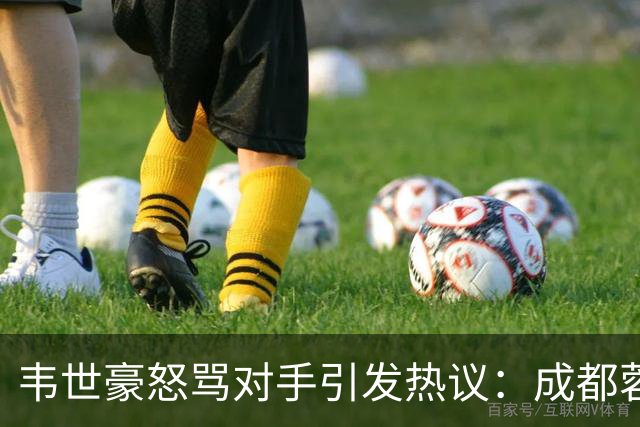 韦世豪怒骂对手引发热议：成都蓉城足协杯出局输球又输人
